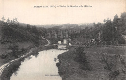 48-AUMONT-N°T2985-C/0309 - Aumont Aubrac