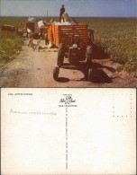 Ansichtskarte  COTTON PICKING Baumwollernte Arbeit Bauern Landwirtschaft 1960 - Bauern