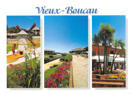 40-VIEUX BOUCAU-N°C-3636-C/0021 - Vieux Boucau