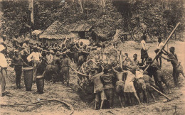 CONGO - Mission Des Prémontrés De Tongerloo - L'union Fait La Force - Animé - Carte Postale Ancienne - Altri & Non Classificati