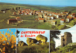 48-CHATEAUNEUF DE RANDON-N°C-3641-D/0353 - Chateauneuf De Randon