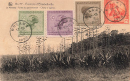 CONGO - Environs D'Elisabethville - La Munama - Ferme Du Gouvernement - Champ D'agaves - Carte Postale Ancienne - Kinshasa - Léopoldville