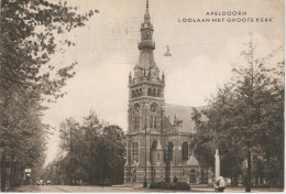 Apeldoorn, Looilaan Met Groote Kerk - Apeldoorn