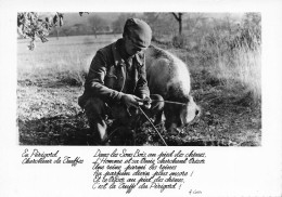 En Périgord * Un Chercheur De Truffes * Métier Type Personnage Truffier - Sonstige & Ohne Zuordnung