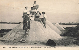 Les Sables D'olonne * Les Marais Salants * Un Mulan * Paludier Sel - Sables D'Olonne