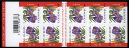 België B41 - Bloemen - Fleurs - Krokus - Crocus - André Buzin - Zelfklevend - Autocollants - Validité Permanente  2002 - 1997-… Permanente Geldigheid [B]