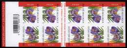 België B41 - Bloemen - Fleurs - Krokus - Crocus - André Buzin - Zelfklevend - Autocollants - Validité Permanente  2002 - 1997-… Validité Permanente [B]