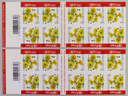 België 2 X B55 - Bloemen - Fleurs - Chrysant -  André Buzin - Zelfklevend - Autocollants - (3432) - 2005 - 1997-… Permanent Validity [B]