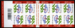 België B65 - Bloemen - Fleurs - Korenbloem - Bleuet Des Champs - Buzin - Zelfklevend - Autocollants - Valid. Perm - 2006 - 1997-… Permanente Geldigheid [B]