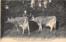 14-ESCOVILLE- ELEVAGE D'ESCOVILLE- FEDORA ET HELYETT VACHE JERSIAISES 1ER PRIX LAITIERES PARIS 1910 CLASEES 1er ET 6eme - Autres & Non Classés