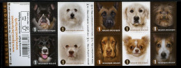 België B145 - Honden Naderbij - Faces De Chiens - Zelfklevend - Autocollants - 2014 - 1997-… Permanente Geldigheid [B]