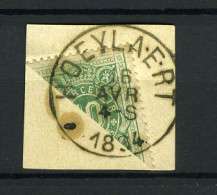 België TX 1 - Halve Zegel Op Fragment - Diagonaal Gesneden - Stempel: Hoeylaert - 1894 - Francobolli