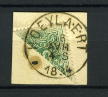 België TX 1 - Halve Zegel Op Fragment - Diagonaal Gesneden - Stempel: Hoeylaert - 1894 - Sellos