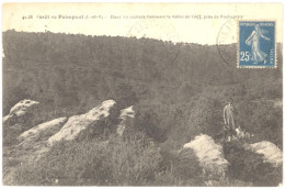 CPA 35 - 4658. Forêt De PAIMPONT - Dans Les Rochers Dominant La Vallée De L'Aff, Près De Rocheplate - Paimpont