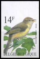 België 2623 ON - Vogels - Oiseaux - André Buzin - Fitis - 1981-2000