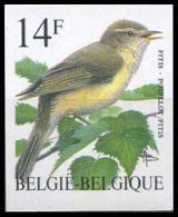 België 2623 ON - Vogels - Oiseaux - André Buzin - Fitis - Ongetand - Non Dentelé - 1981-2000