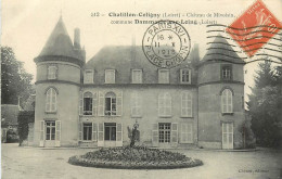 45 , CHATILLON COLIGNY , Dammarie Sur Loing , Chateau De Mivoisin , * 494 37 - Chatillon Coligny