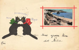 Grosse Bise De Nice  Chats Chat - Other & Unclassified