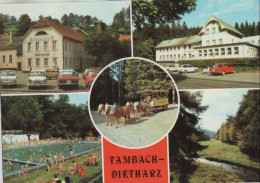 88535 - Tambach-Dietharz - U.a. Kutschfahrt Im Thüringer Wald - 1986 - Tambach-Dietharz