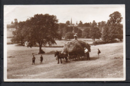 Angleterre - Haymaking At Goodrich - Carte Photo - Herefordshire