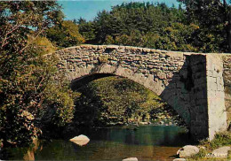 43 - Saint Didier En Velay - Le Pont De La Clare - La Semene - Vieilles Pierres - CPM - Voir Scans Recto-Verso - Saint Didier En Velay