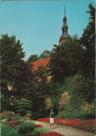 104759 - Offenburg - Partie Im Stadtpark - 1968 - Offenburg