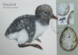 Maxim Card, Oystercatcher-Egg, 2002, Condition As Per Scan LPS5 - Lettres & Documents