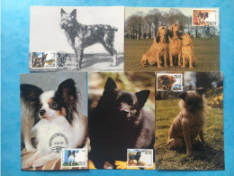 Belgique Belgie Belgium COB 3064/68 Série Complète Sur 5 Carte Maximum Maximumkaart 2002 Chiens De Race Dogs Honden - 2001-2010