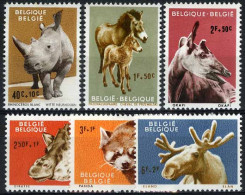 België 1182/87 - Zoo Van Antwerpen I - Dieren - Neushoorn - Przewalskipaard - Okapi - Giraf - Panda - Eland - Unused Stamps