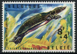 België 1348 - Zoo Van Antwerpen III - Reptielen - Weekschild Schildpad - Trionyx Du Nil - Unused Stamps