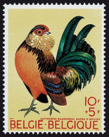 België 1513 - Dieren - Neerhodfieren - Antwerpse Baardkriel - Coq Nain Barbu - Unused Stamps