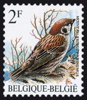 België 2347 - Vogels - Oiseaux - André Buzin - Ringmus - Moineau Friquet - Ongebruikt