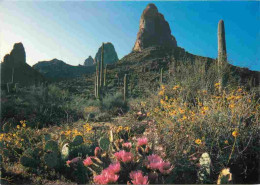 Etats Unis - Desert In Bloom - Flowering Hedgehog Cacti And Yellow Brittlebush Add A Colorful Touch To The Silent Désert - Andere & Zonder Classificatie