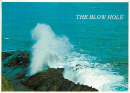 Etats Unis - Hawaï - Oahu - The Blow Hole - Etat De Hawaï - Hawaï State - CPM - Voir Timbre - Voir Scans Recto-Verso - Oahu