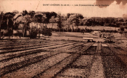 91 - SAINT CHERON / LES CRESSONNIERES DE LA RACHEE - Saint Cheron