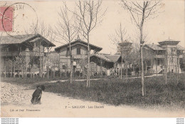 T17-17)  SAUJON - LES CHALETS - ( ANIMEE - HABITANTS ) - Saujon