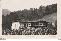 T17- OVIEDO  (ESPAGNE)  PAISAJE ASTURIANO  - ED ARRIBAS - OBLITERATION DE 1953 - ( 2 SCANS ) - Asturias (Oviedo)