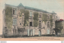 33) CADILLAC SUR DORDOGNE PRES SAINT ANDRE DE CUBZAC - CHATEAU DE CADILLAC , FACADE PRINCIPALE - 2 SCANS - Cadillac