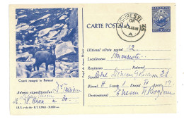 IP 63 - 066e CHAMOIS, Romania - Stationery - Used - 1963 - Interi Postali