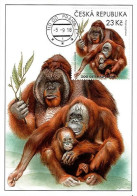 CM 992 Czech Rep. Nature Protection: Zoological Gardens III 2018 Orangutan - Affen