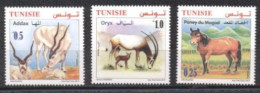 Tunisie 2019- Animaux En Danger D'extinction En Tunisie Série (3v) - Tunesien (1956-...)