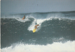 SURF... - Verzamelingen & Kavels