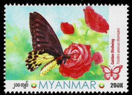 MYANMAR 2024 GOLDEN BIRDWING BUTTERFLY MINT STAMP ** - Butterflies