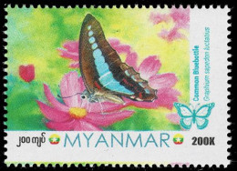 MYANMAR 2024 COMMON BLUEBOTTLE BUTTERFLY MINT STAMP ** - Myanmar (Birmanie 1948-...)