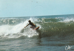 SURF... - Verzamelingen & Kavels