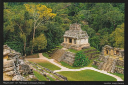 1 AK Mexiko * Der Sonnentempel In Palenque - Diese Mayaruinen Gehören Seit 1987 Zum UNESCO Weltkulturerbe * - Mexiko