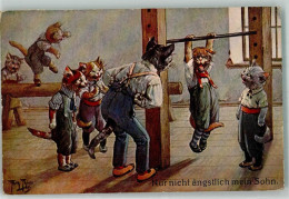 13975301 - Turnunterricht Am Reck In Der Katzenschule Tiere Vermenschlicht T.S.N. Serie 1880 - Thiele, Arthur