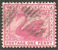 944 Western Australia Swan ONE Penny Rose Watermark Crown C A (WEA-7) - Usati