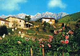 CPM..ESPAGNE..ASTURIAS..PICOS DE EUROPA..VALLEE DE LIEBANA - Asturias (Oviedo)