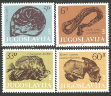 954 Yougoslavie Musée Museum Fossiles Fossils MNH ** Neuf SC (YUG-315) - Altri & Non Classificati